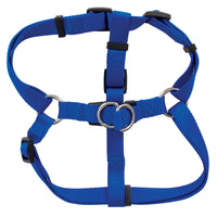 The Petmate Adjustable Standard Step-In Core Harness, in blue with black plastic buckles and metal rings, lies flat on a white background. Made of webbed fabric for comfort, it fits snugly on a dog with an easy step-in design and offers multiple leash connection points.