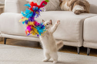 A fluffy kitten stands on its hind legs, playing with the Quirky Kitty Sassy Strawpurry Super Feather Wand. Another cat relaxes on a white sofa in the cozy, bright room with wooden flooring.