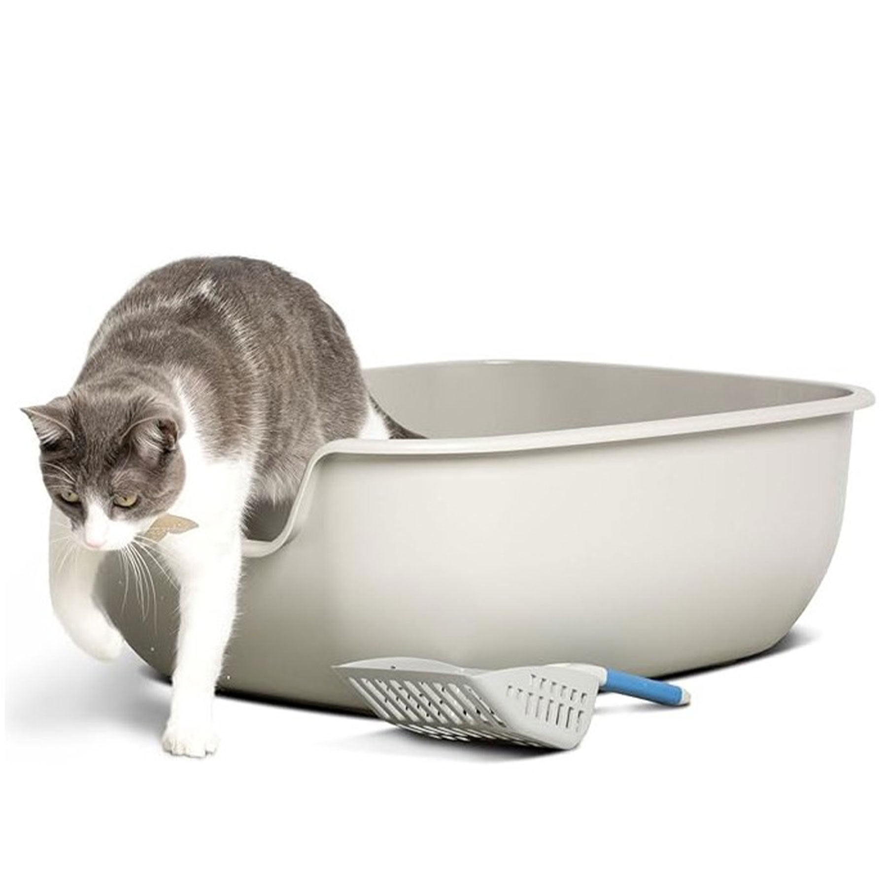 A gray and white cat steps out of a PetFusion BetterBox Cat Litter Box by Petfusion. A gray scoop with a blue handle lies in front of the box, all set against a plain white background.