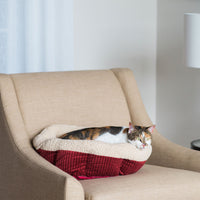 A cat with white, brown, and black fur relaxes in an Aspen Pet Self-Warming Oval Lounger Bed, featuring red and beige plush. Its non-skid bottom keeps it secure on a beige armchair in a well-lit room beside a white lamp.
