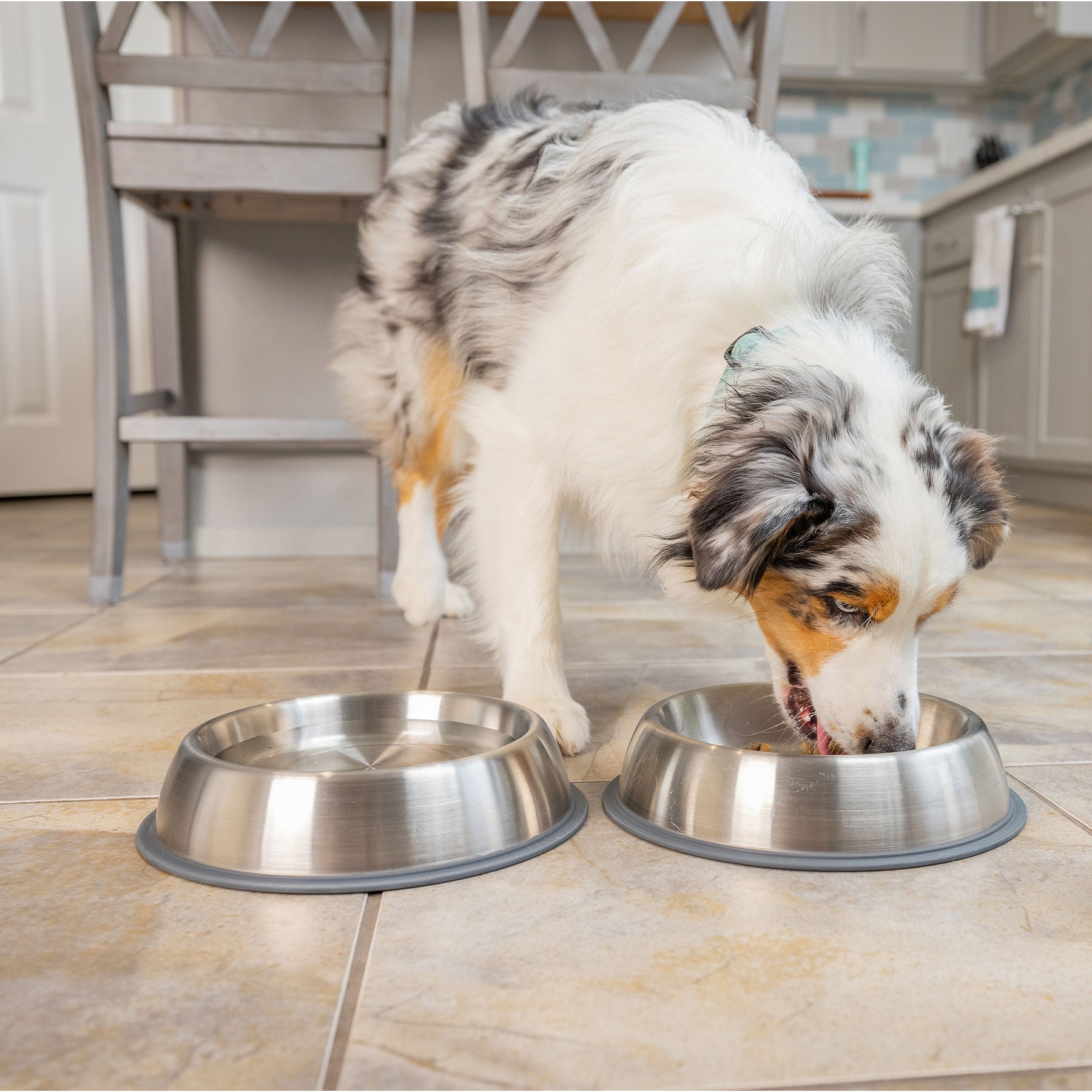A fluffy merle-coated dog eats from a PetFusion Premium Brushed Anti-Tip Dog & Cat Bowl on a tiled kitchen floor. Made from high-grade stainless steel, the bowl stays in place. The space includes light-colored cabinets, with part of a dining chair visible in the background.