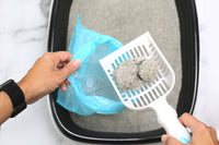 Using the Arm & Hammer Deluxe 2-In-1 Litter Scoop with Waste Bags, a person scoops clumped cat litter from a black box, holding an odor-neutralizing bag for disposal. Arm And Hammer baking soda maintains freshness as the box rests on a pristine white surface.