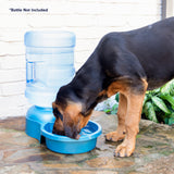 A black and tan dog drinks from a Petmate Big Blue Bowl on a patio. The bowl features a large, clear bottle excellent for outdoor pet hydration. In the background, the wall and greenery are visible, with text reading, Bottle Not Included.