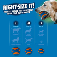 A dog holds the orange and blue Chuckit! Fetch Medley Gen 3 ball. Text: Right-Size It! The ball shouldnt fit entirely in your dogs mouth. Below, a size chart for Chuckit fetch balls shows sizes L (60-100 lbs), M (20-60 lbs), and S (0-20 lbs) with breed illustrations.
