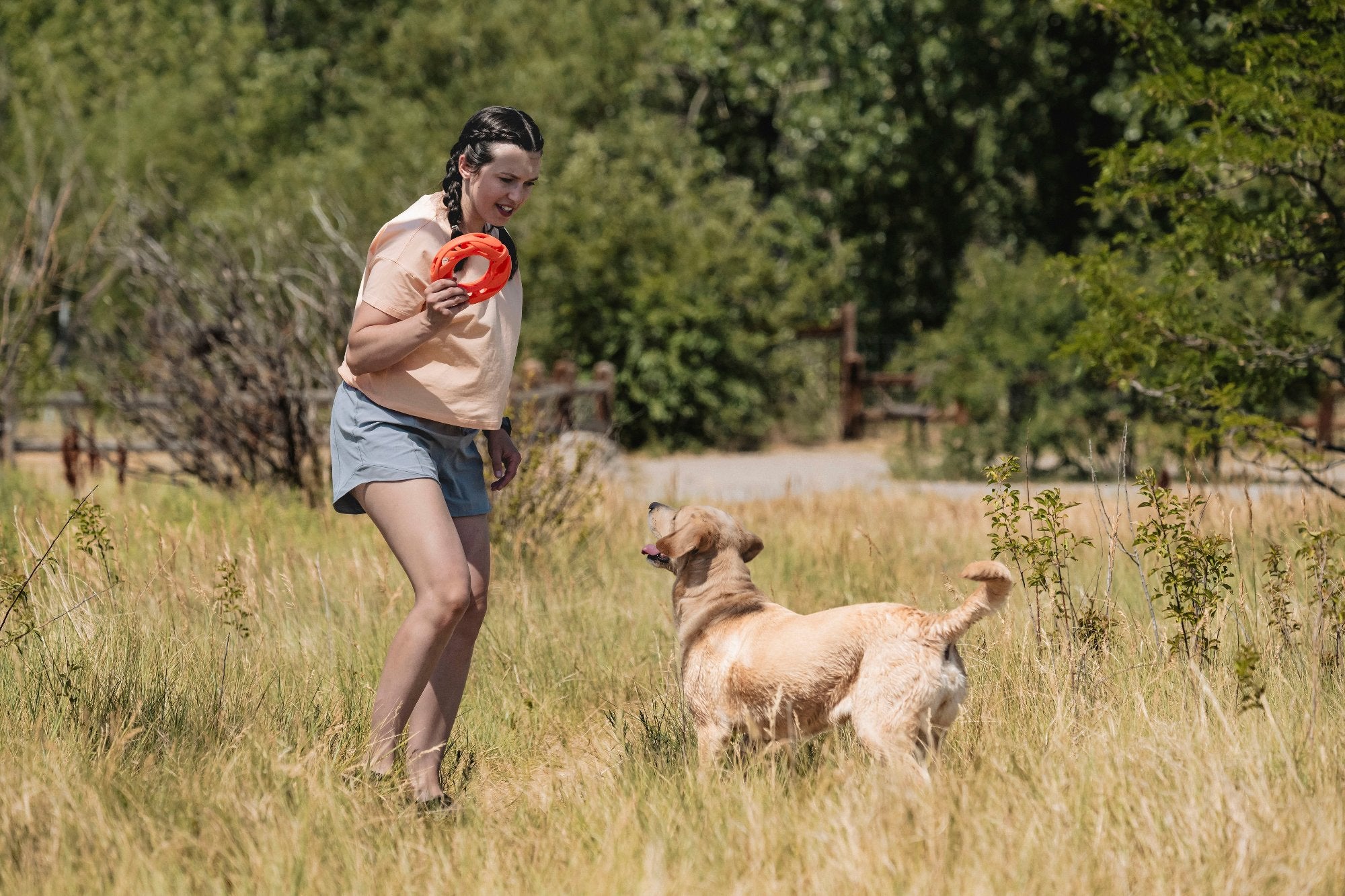 In a grassy field, a person with braided hair holds the Chuckit! Air Fetch Wheel Dog Toy, preparing to throw it for their golden retriever. The eager dog anticipates the toss as trees and a fence frame the joyful scene.