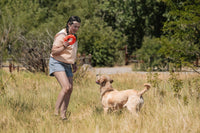 In a grassy field, a person with braided hair holds the Chuckit! Air Fetch Wheel Dog Toy, preparing to throw it for their golden retriever. The eager dog anticipates the toss as trees and a fence frame the joyful scene.