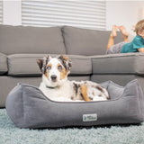 A dog with a mottled coat rests calmly in a gray PetFusion Calming Cuddler Dog Bed, designed for anxiety relief, on a light blue rug in front of a gray sofa. In the background, a child relaxes on the sofa with feet up, wearing a green shirt and gray pants.