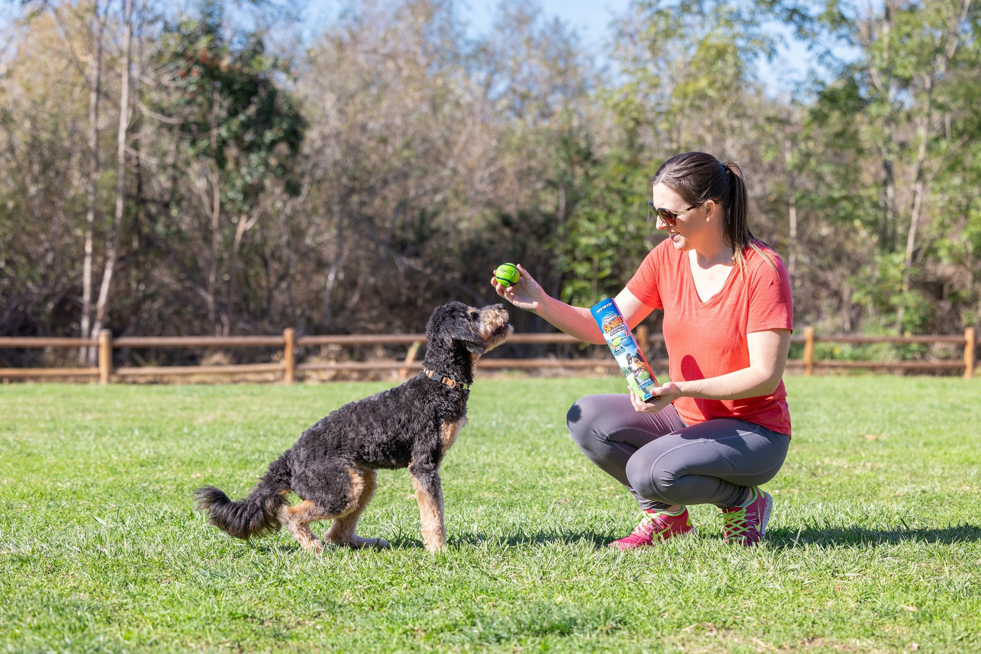 A woman in a red shirt kneels on grass, smiling and holding a Chuckit Sniff Ball in her right hand and a treat packet in her left. She faces a curly-haired dog standing attentively in the sunny park, framed by a wooden fence and trees.
