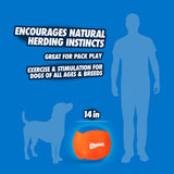 A silhouette of a person and dog with text features the benefits of the bright orange, durable 14 Chuckit! Big Air Fetch & Herding Ball by Chuckit, designed to encourage natural herding instincts, pack play, and exercise for dogs of all ages and breeds.