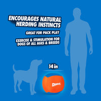 A silhouette of a person and dog with text features the benefits of the bright orange, durable 14 Chuckit! Big Air Fetch & Herding Ball by Chuckit, designed to encourage natural herding instincts, pack play, and exercise for dogs of all ages and breeds.