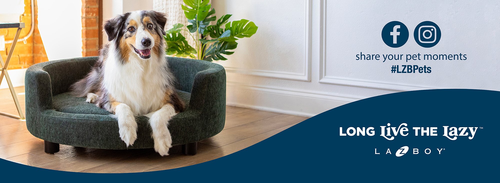 A happy dog sits on a green pet sofa in a bright room with plants. Text invites sharing pet moments with #LZBPets and displays La-Z-Boy branding along with Facebook and Instagram icons.