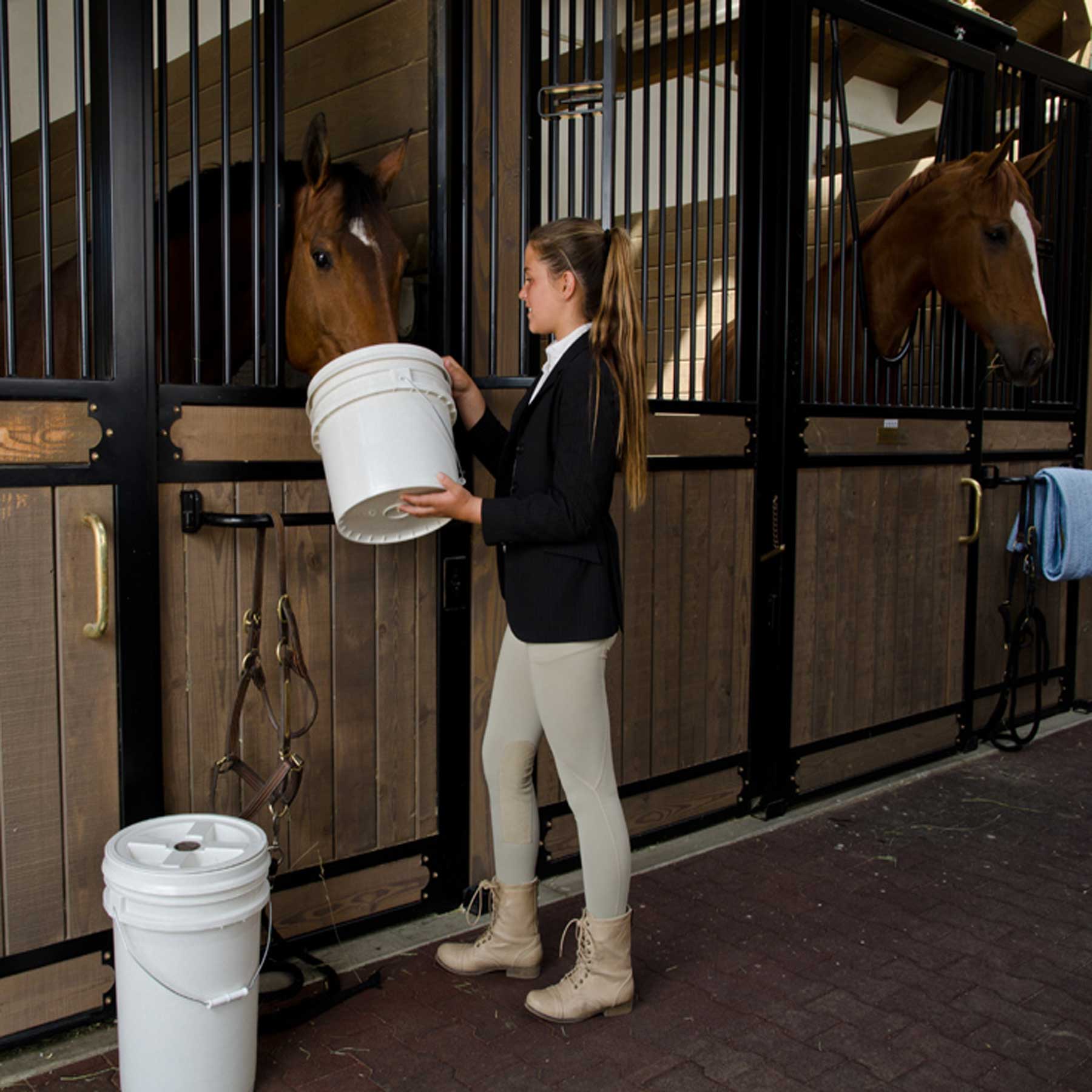 In a stable, a woman in riding attire stands near a brown horse with the Vittles Vault Outback Pet Food Storage Bucket. Another horse is in the adjacent stall surrounded by gear, with a blue towel nearby. The scenario suggests attentive care supported by secure food storage solutions from Vittles Vault.