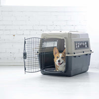 A small brown and white corgi sits inside the Petmate Traveler - Ultra Vari Kennel by Petmate with the door open, looking forward and panting, against a white brick wall and bright floor.