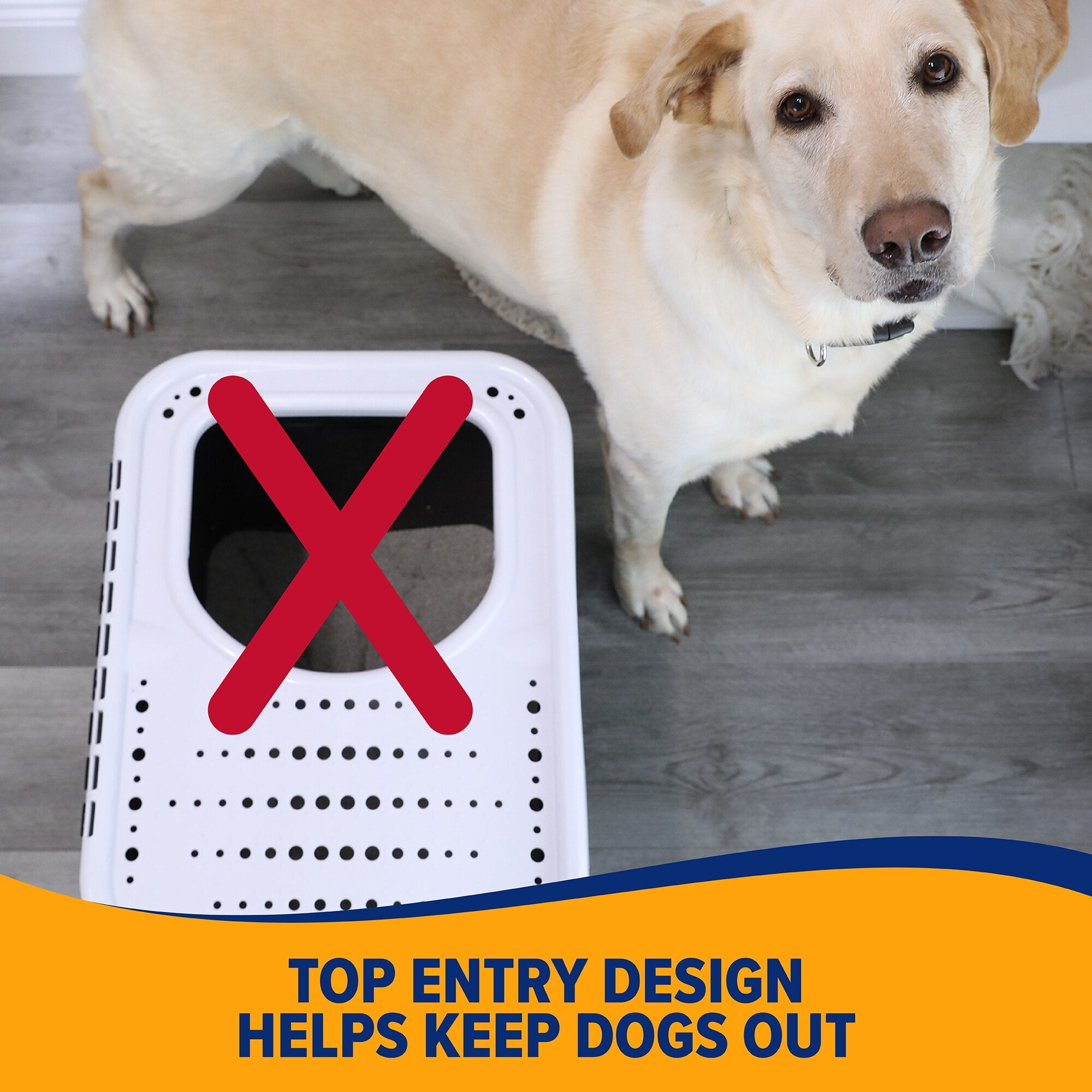 A dog stands near the Arm & Hammer Top Entry Litter Box with a red X on top, captioned Top entry design helps keep dogs out. A wooden floor adds warmth with a basket in the background. The box includes Microban antimicrobial protection for extra cleanliness.