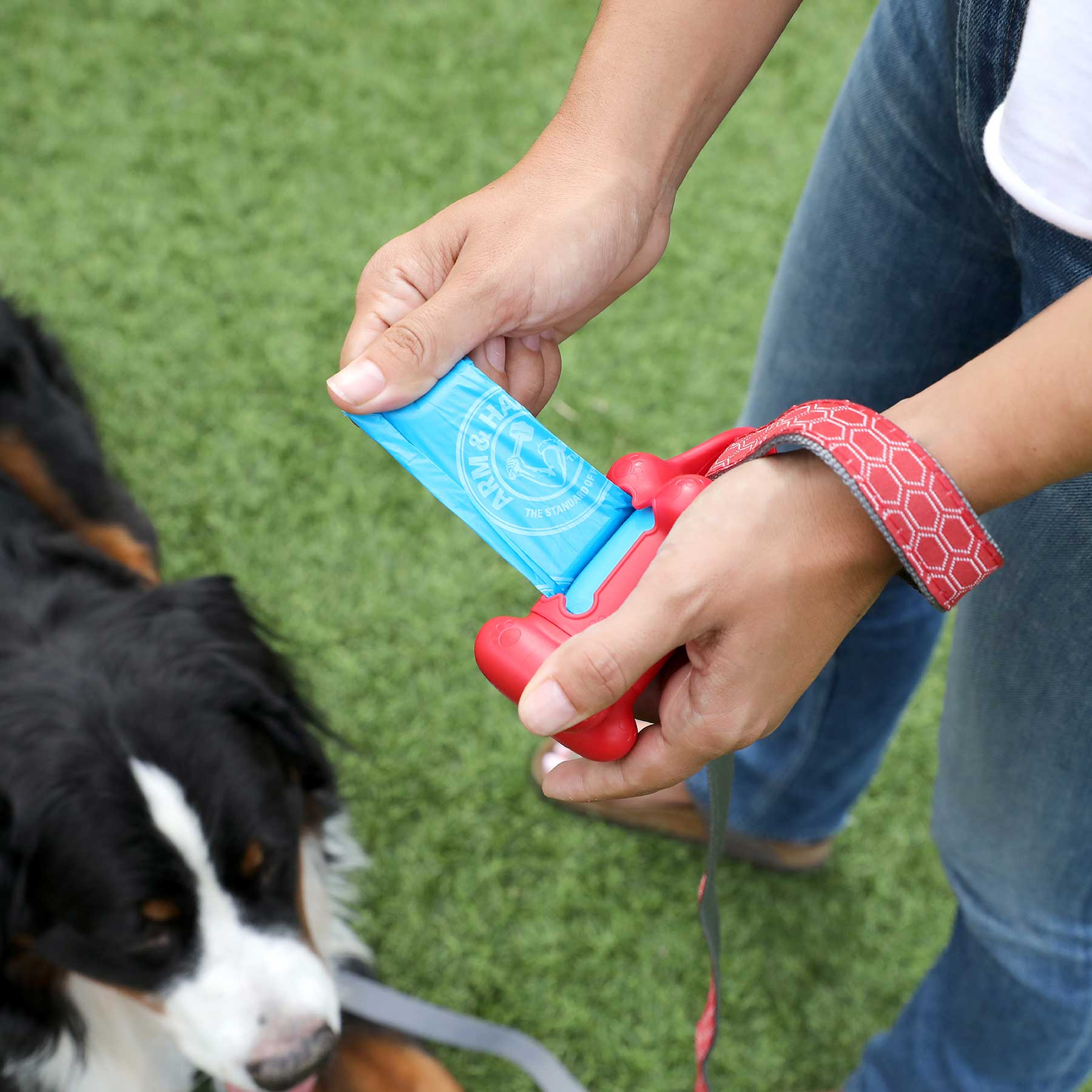 A person holds a blue waste bag from the red Arm & Hammer Bone Dispenser as a black and white dog sits on the grass. The person, in jeans and a patterned wristband, appreciates the odor control of the Arm And Hammer dispenser.